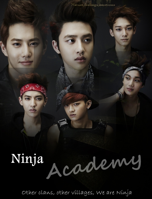 Ninja Academy cover